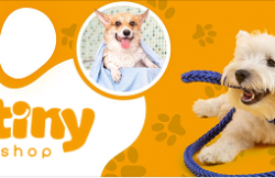 Chế độ ăn uống cho thú cưng phù hợp mùa nóng 