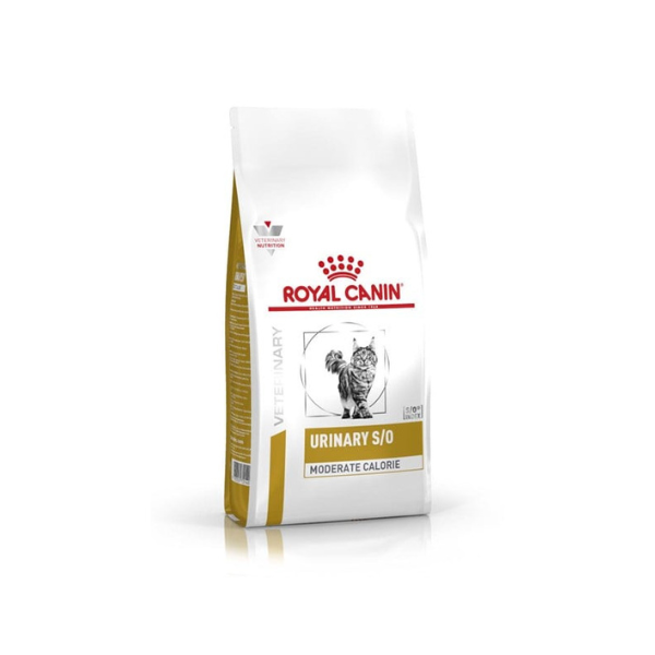 Thức ăn hạt cho mèo Royal Canin Urinary S/O Feline