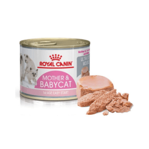 Pate Mèo Mẹ & Mèo Con Royal Canin Mother & Babycat (Lon 195G)