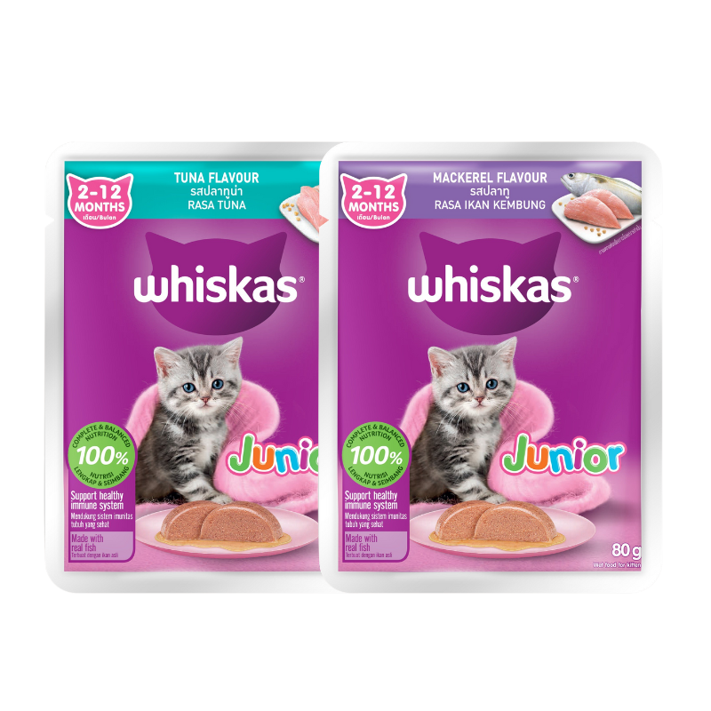 Pate Whiskas Junior Cho Mèo Con 80G