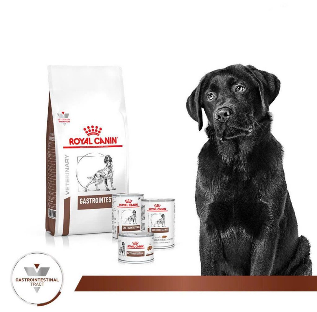 Thức Ăn Hạt Điều Trị Bệnh Cho Chó Hỗ Trợ Tiêu Hoá Royal Canin Gastrointestinal 1KG