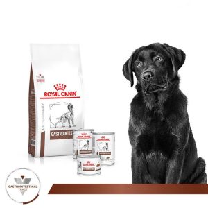 Thức Ăn Hạt Điều Trị Bệnh Cho Chó Hỗ Trợ Tiêu Hoá Royal Canin Gastrointestinal 1KG