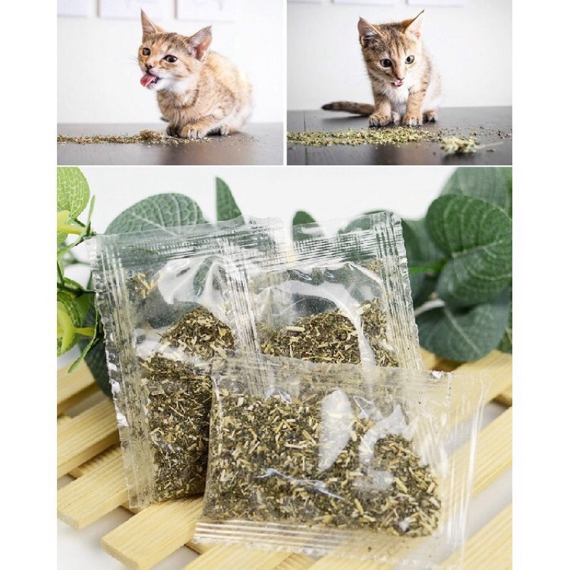 Cỏ Mèo Cỏ Bạc Hà Catnip Cho Mèo Gói 2G