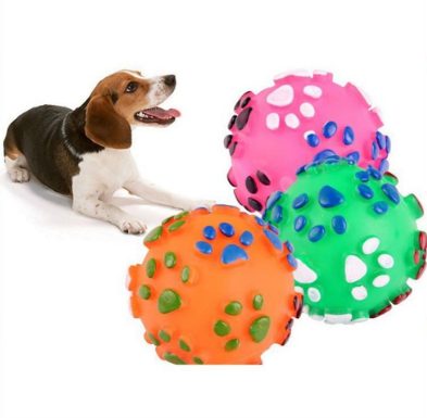 Bóng Hình Bàn Chân Cho Chó