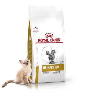 Thức Ăn Hạt Royal Canin Urinary S/O Feline Hỗ Trợ Sỏi Thận Cho Mèo
