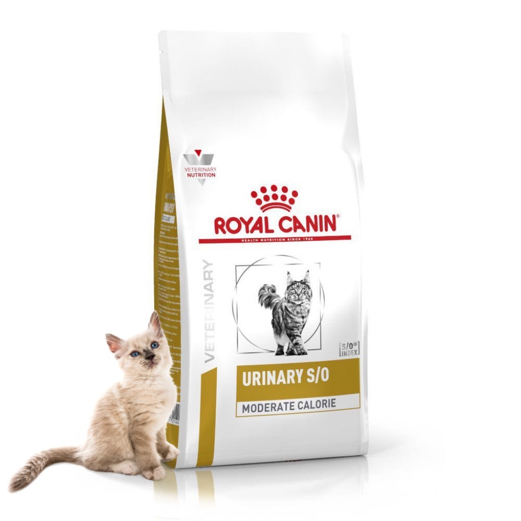 Thức Ăn Hạt Royal Canin Urinary S/O Feline Hỗ Trợ Sỏi Thận Cho Mèo