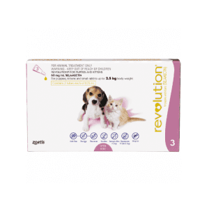 Thuốc Trị Ve Rận Cho Mèo Revolution Dưới 2.5KG – 1 Tuýp