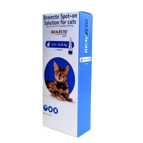 Bravecto Hộp 1 Tuýp Nhỏ Gáy Cho Mèo 2.8-6.25kg Trị Ve