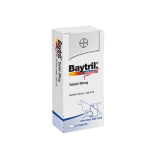 Baytril Flavour Tablet 50MG - 1 Viên