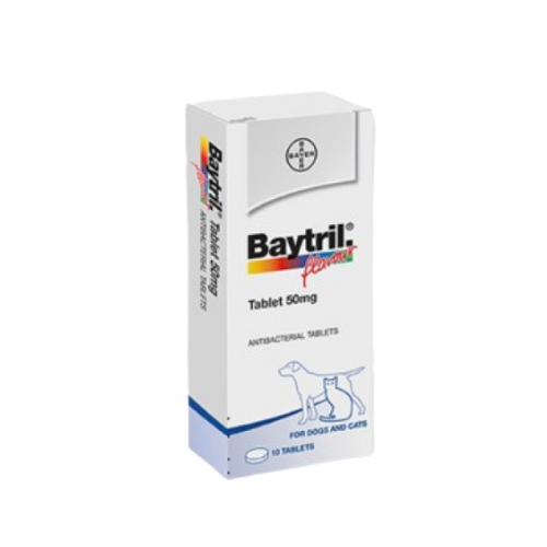 Baytril Flavour Tablet 50MG - 1 Viên