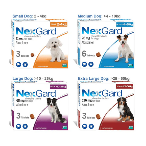 NexGard Trị Ve Rận Cho Chó An Toàn Hiệu Quả (Dạng Viên Nhai) - Viên Lẻ