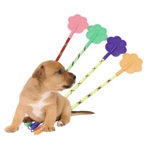 Roi Huấn Luyện Chó Mèo 42cm