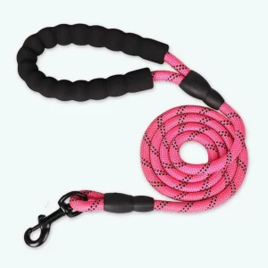 Dây Dẫn Chó Mèo - Dây Dắt Thú Cưng Đi Dạo Tích Hợp Tay Dắt Và Đệm Lót Thoải Mái Tiện Lợi