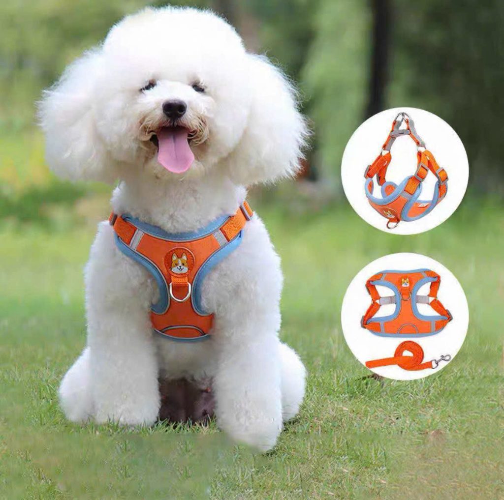 Dây Dắt Yếm Phản Quang Nhiều Màu