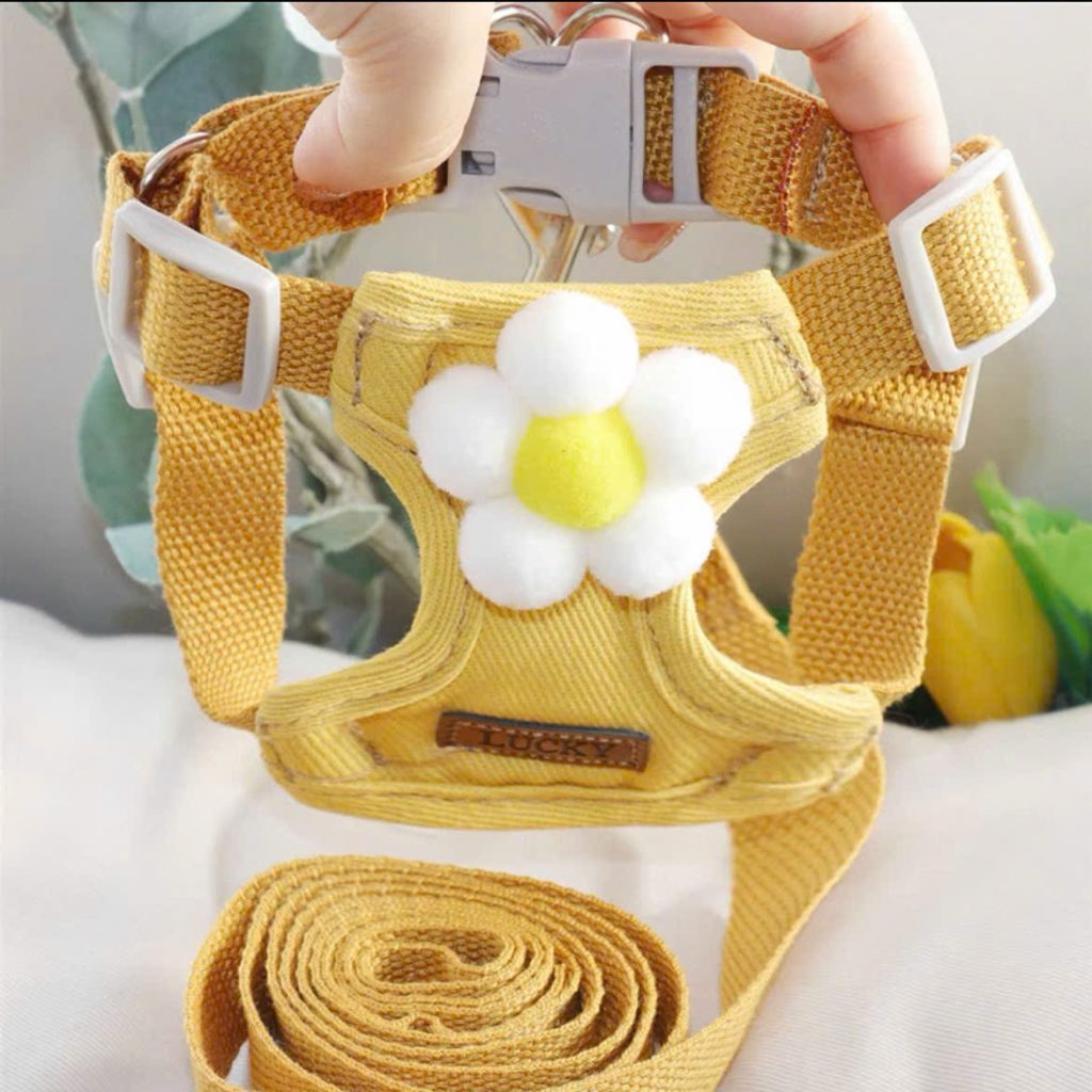 Dây Dắt Yếm Hoa Vàng Size L