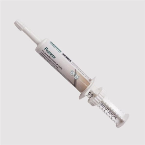 Men Tiêu Hóa Probican Cho Chó Mèo Ống 15ml