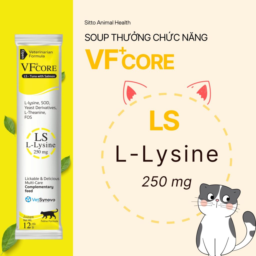 Súp Thưởng Mèo VF Core L-Lysine Hỗ Trợ Phát Triển Toàn Diện 12G
