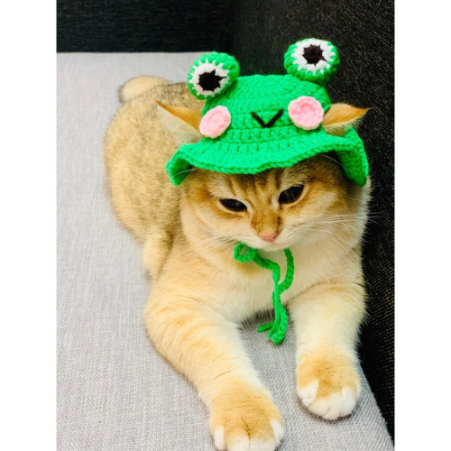 Nón Len Cho Chó Mèo Nhiều Mẫu Dễ Thương