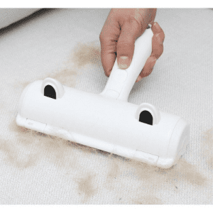 Cây Lăn Lông Tĩnh Điện