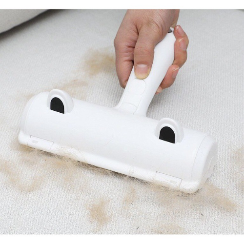 Cây Lăn Lông Tĩnh Điện