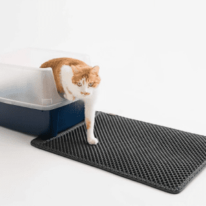 Thảm Lót Khay Cát Mèo 2 Lớp