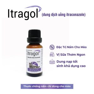 Dung Dịch Uống Trị Nấm Cho Mèo Itragol 20ml