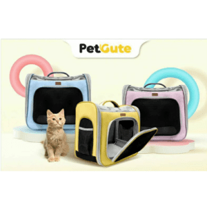 Balo Pet Cute Vuông Cho Thú Cưng