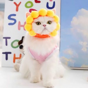 Mũ Hướng Dương Cho Thú Cưng