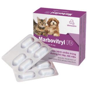 Thuốc Trị Hô Hấp Marbovitryl FD Viên Lẻ (Hộp 2 Vỉ * 5 Viên)