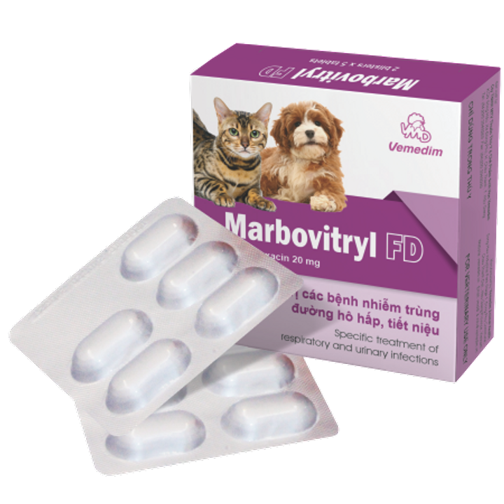 Thuốc Trị Hô Hấp Marbovitryl FD Viên Lẻ (Hộp 2 Vỉ * 5 Viên)