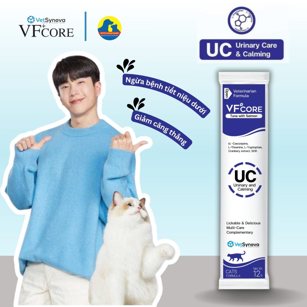 Súp Thưởng Cho Mèo - VF Core UC - Giảm Căng Thẳng Và Ngăn Ngừa Bệnh Đường Tiết Niệu 12G