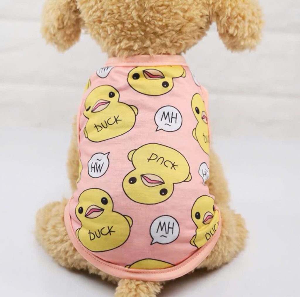 Áo Vịt Xanh/Hồng