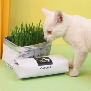 Bộ Trồng Cỏ Mèo