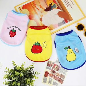 Áo Trái Cây Vàng/Hồng