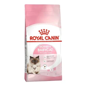 Thức Ăn Hạt Cho Mèo Mẹ & Mèo Con Royal Canin Mother & Babycat 2KG