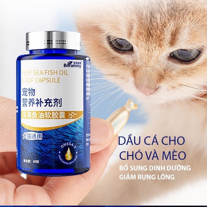 Dầu Cá Borammy Tăng Đề Kháng, Đẹp Lông Cho Chó Mèo, 60 Viên