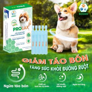 Prolax Dog - Men nước bổ sung vi sinh, ngừa táo bón, chống búi lông cho Chó - Hộp 10 ống / 5ml