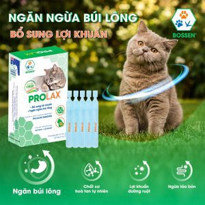 Prolax Cat - Men nước bổ sung vi sinh, ngừa táo bón, chống búi lông cho mèo - Hộp 10 ống / 5ml