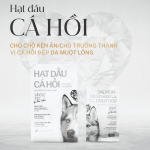 Thức Ăn Hạt Dầu Cá Hồi King's Pet Cho Chó 1,4kg - VỊ CÁ HỒI - PETINY PET SHOP