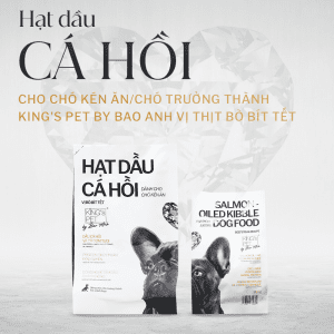 Thức Ăn Hạt Dầu Cá Hồi King's Pet Cho Chó 1,4kg - VỊ BÒ BÍT TẾT - PETINY PETY SHOP