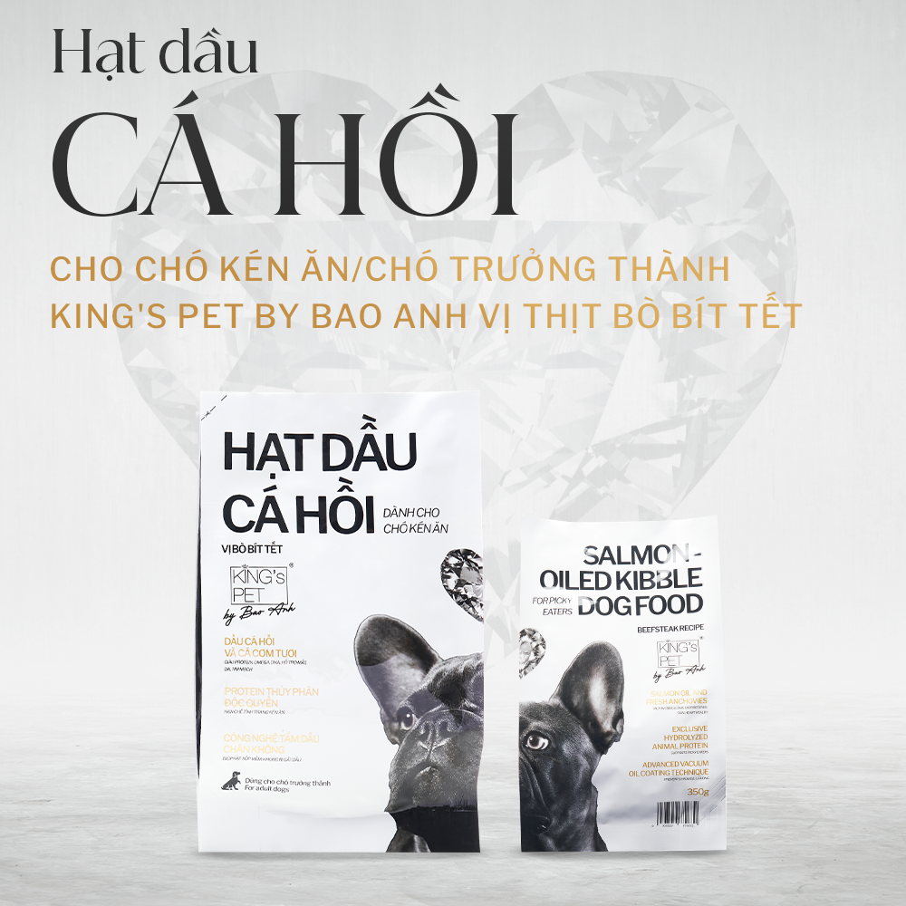 Thức Ăn Hạt Dầu Cá Hồi King's Pet Cho Chó 1,4kg - VỊ BÒ BÍT TẾT - PETINY PETY SHOP