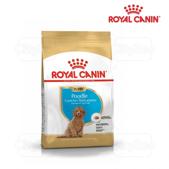 Thức ăn hạt cho chó con ROYAL CANIN POODLE PUPPY 500GR