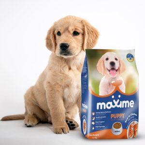 Thức ăn cho chó con Maxime Puppy vị gà gói 400g và 1.5kg - PETINY PET SHOP