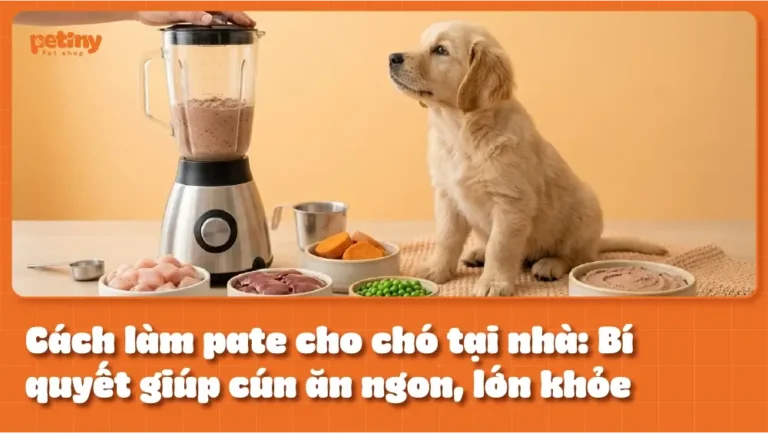 Cách làm pate cho chó tại nhà: Bí quyết giúp cún cưng ăn ngon, lớn khỏe