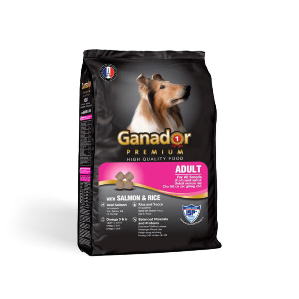 Ganador Premium Adult Salmon & Rice - Hạt Cho Chó Vị Cá Hồi & Gạo