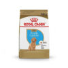 Hạt Royal Canin Poodle Puppy - Thức Ăn Cho Chó Poodle Con