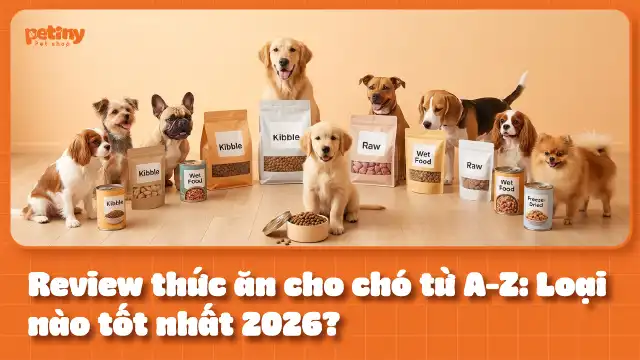 Review Thức Ăn Cho Chó Từ A-Z: Loại Nào Tốt Nhất 2026?
