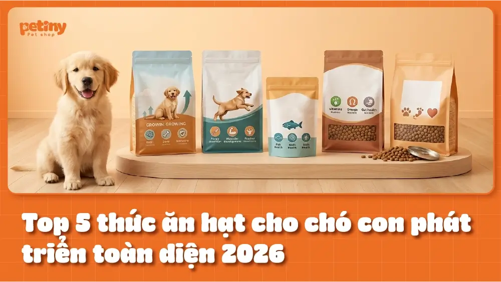 Top 5 thức ăn hạt cho chó con phát triển toàn diện