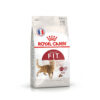 hat-meo-royal-canin-fit-32 Hạt Mèo Royal Canin Fit 32 - Dinh Dưỡng Cân Bằng Cho Mèo Trưởng Thành