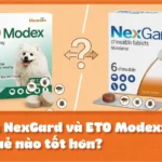 So sánh NexGard và ETO Modex: Thuốc trị ve ghẻ nào tốt hơn?